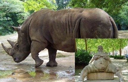 Creation of Rhino: Step 1